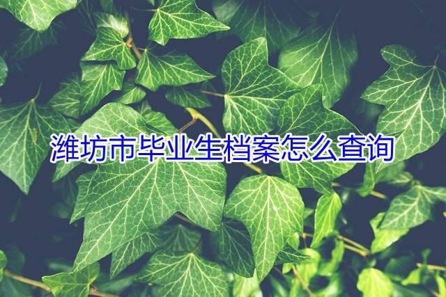 潍坊市毕业生档案怎么查询