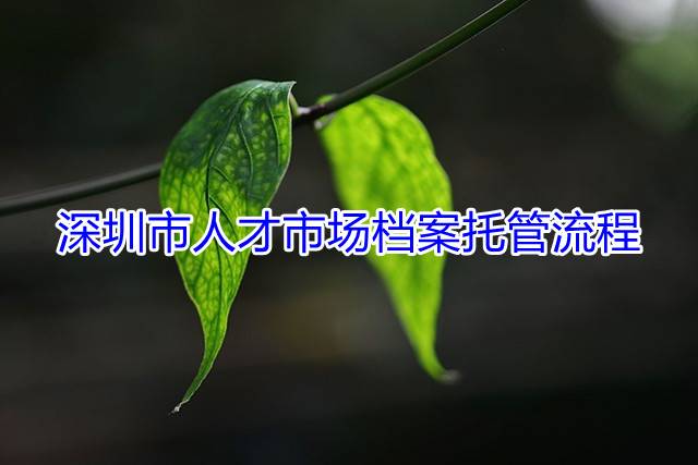 深圳市人才市场档案托管流程