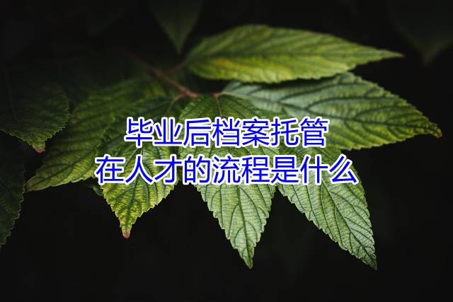 毕业后档案托管在人才的流程是什么