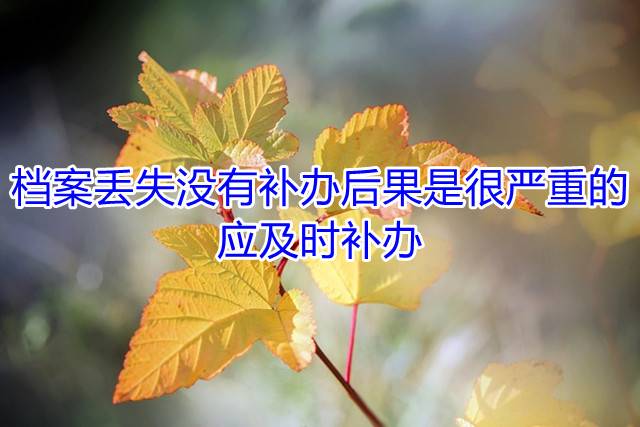 档案丢失没有补办后果是很严重的，应及时补办