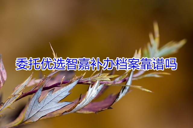 委托优选智嘉补办档案靠谱吗