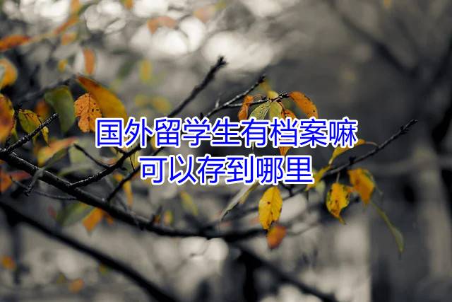 国外留学生有档案嘛，可以存到哪里