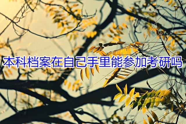 本科档案在自己手里能参加考研吗