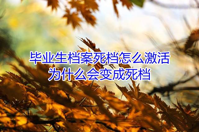毕业生档案死档怎么激活，为什么会变成死档