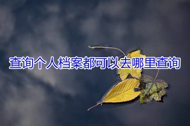 查询个人档案都可以去哪里查询