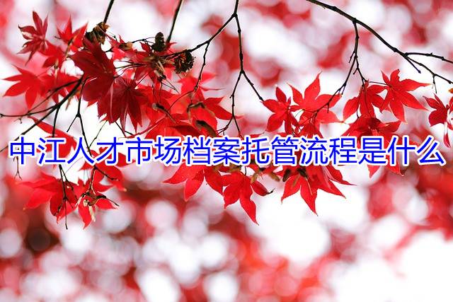 中江人才市场档案托管流程是什么