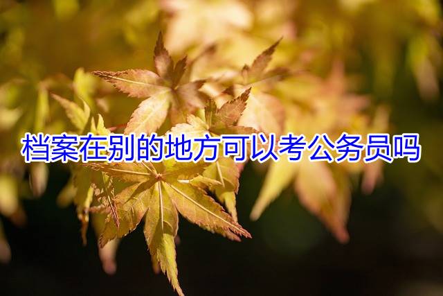 档案在别的地方可以考公务员吗