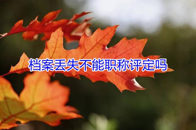 档案丢失不能职称评定吗