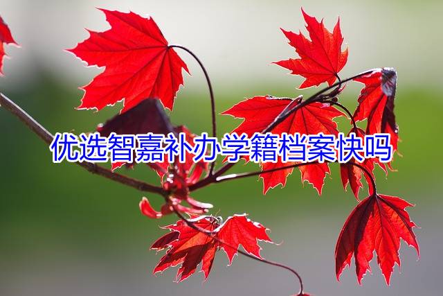 优选智嘉补办学籍档案快吗