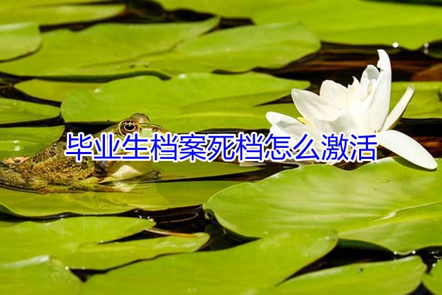 毕业生档案死档怎么激活