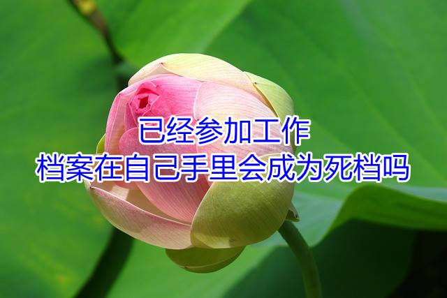 已经参加工作，档案在自己手里会成为死档吗