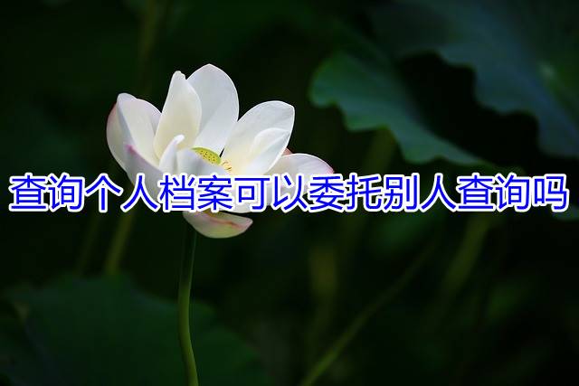 查询个人档案可以委托别人查询吗