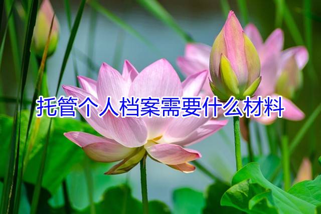 托管个人档案需要什么材料