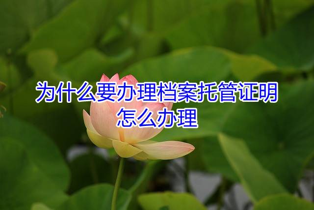 为什么要办理档案托管证明，怎么办理