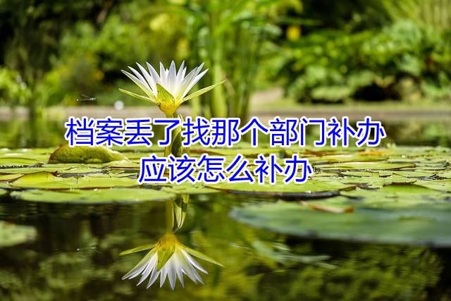 档案丢了找那个部门补办，应该怎么补办