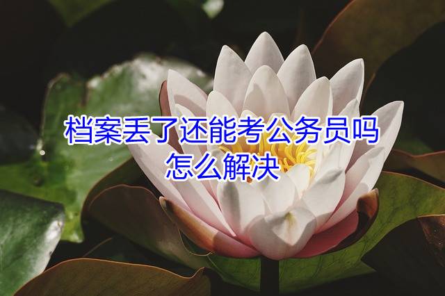 档案丢了还能考公务员吗，怎么解决