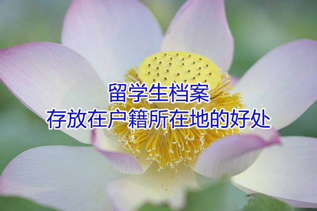 留学生档案存放在户籍所在地的好处
