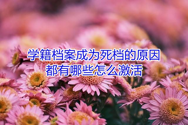 学籍档案成为死档的原因都有哪些怎么激活