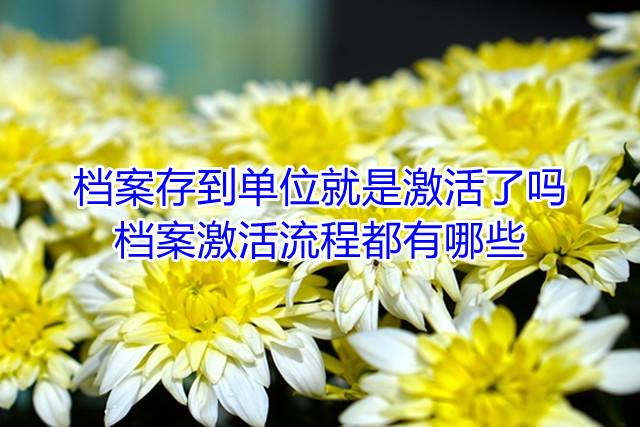 档案存到单位就是激活了吗，档案激活流程都有哪些