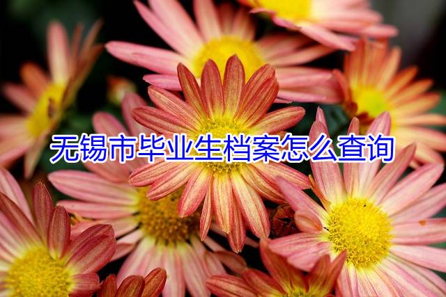无锡市毕业生档案怎么查询