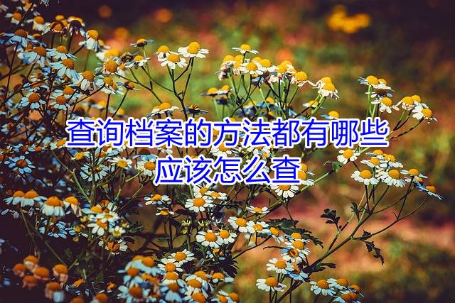 查询档案的方法都有哪些，应该怎么查