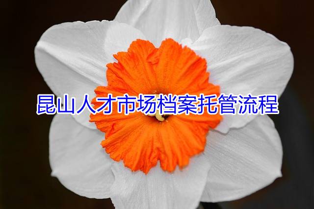昆山人才市场档案托管流程
