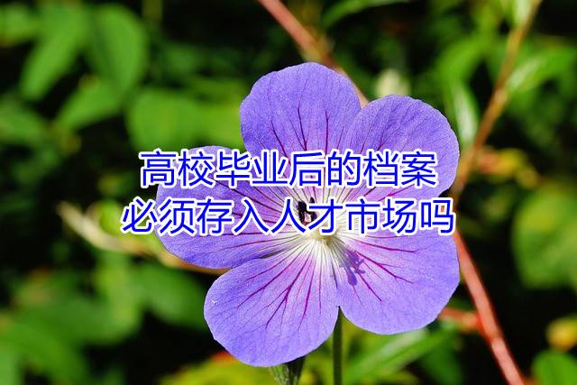 高校毕业后的档案必须存入人才市场吗