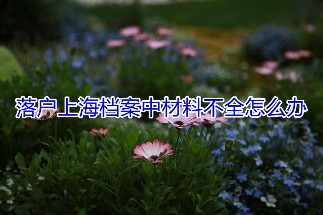 落户上海档案中材料不全怎么办