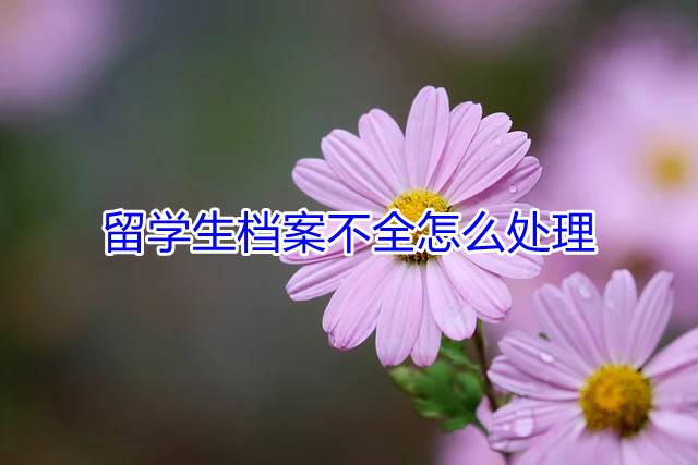 留学生档案不全怎么处理