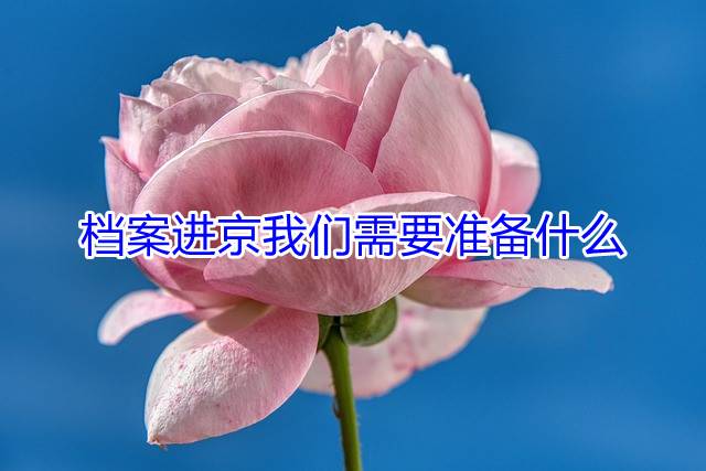 档案进京我们需要准备什么