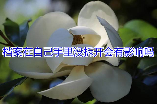 档案在自己手里没拆开会有影响吗