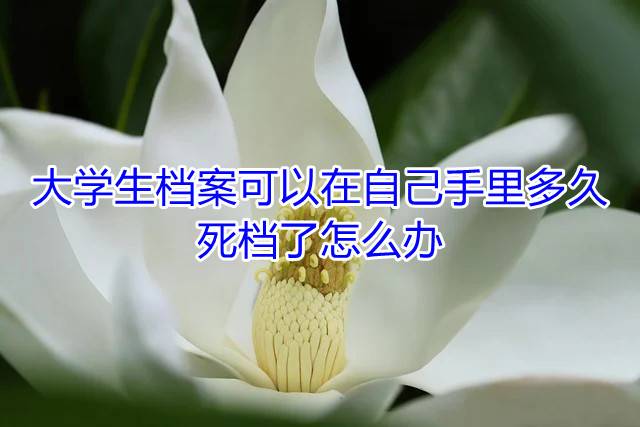 大学生档案可以在自己手里多久，死档了怎么办
