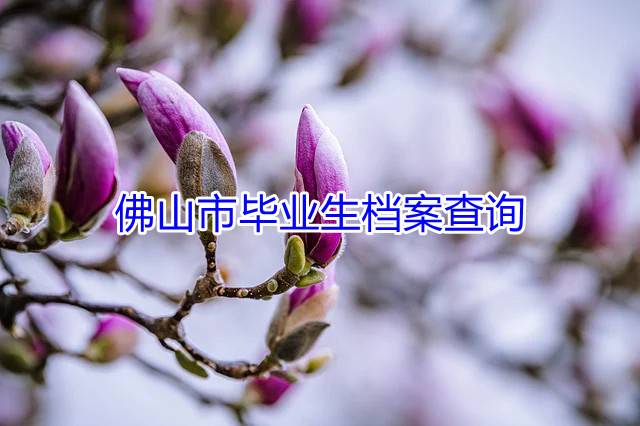 佛山市毕业生档案查询