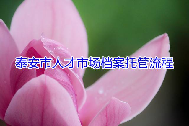 泰安市人才市场档案托管流程