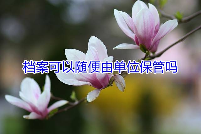 档案可以随便由单位保管吗