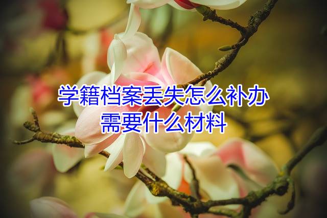 学籍档案丢失怎么补办，需要什么材料