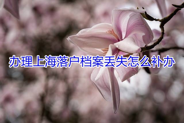 办理上海落户档案丢失怎么补办