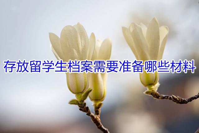 存放留学生档案需要准备哪些材料