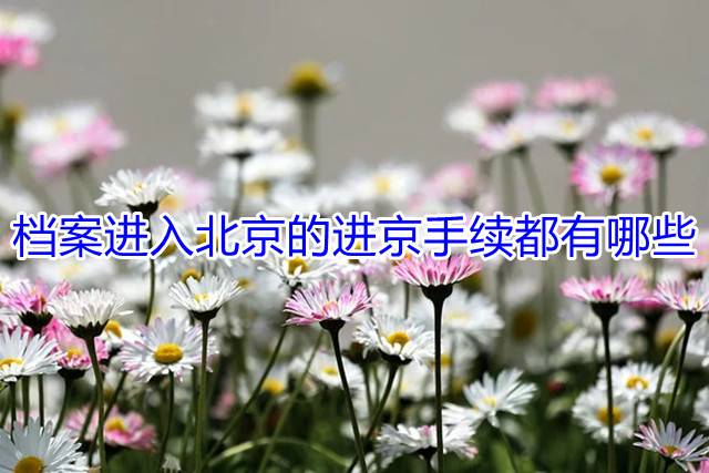 档案进入北京的进京手续都有哪些
