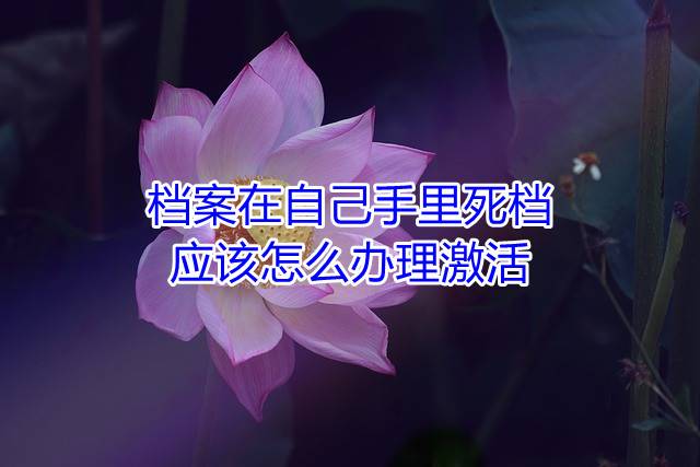 档案在自己手里死档应该怎么办理激活