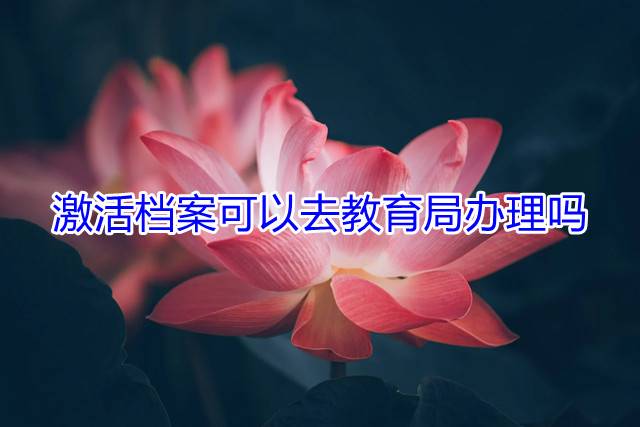 激活档案可以去教育局办理吗