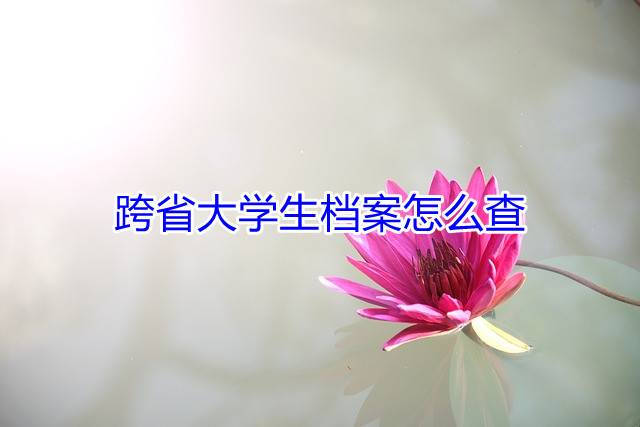 跨省大学生档案怎么查
