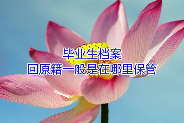 毕业生档案回原籍一般是在哪里保管