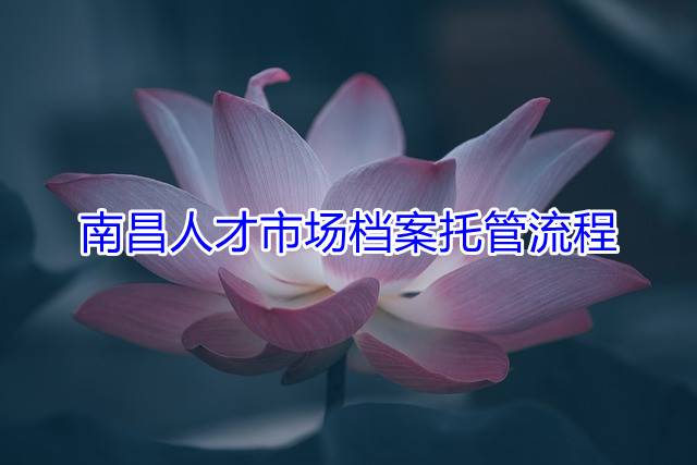 南昌人才市场档案托管流程