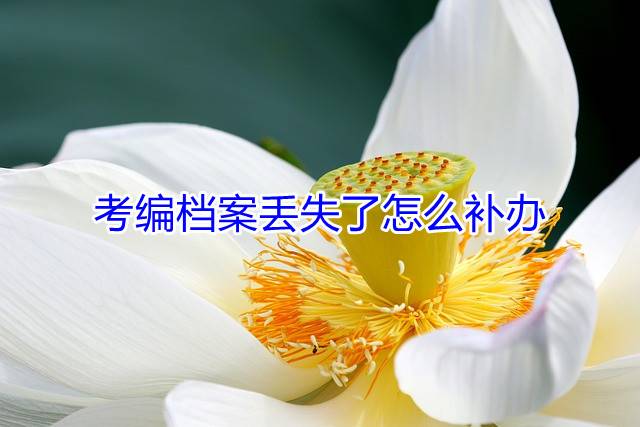 考编档案丢失了怎么补办