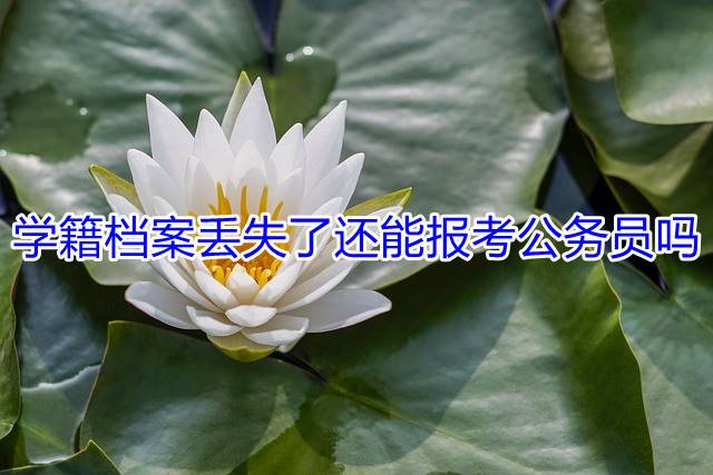 学籍档案丢失了还能报考公务员吗