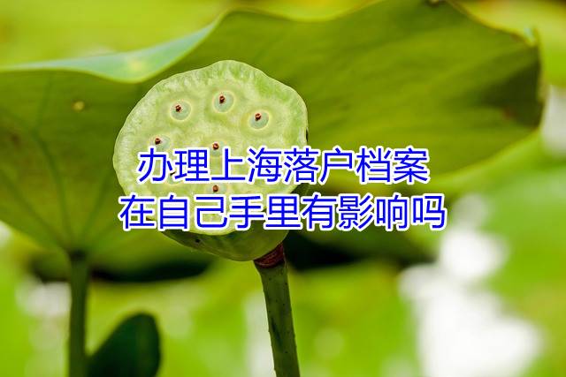 办理上海落户档案在自己手里有影响吗