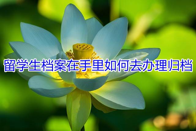 留学生档案在手里如何去办理归档
