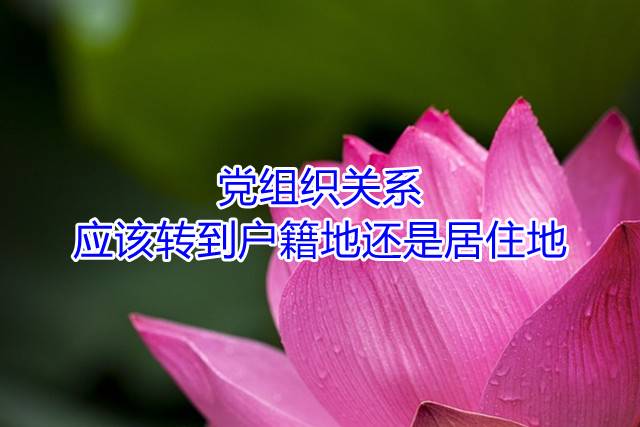 党组织关系该转到户籍地还是居住地?