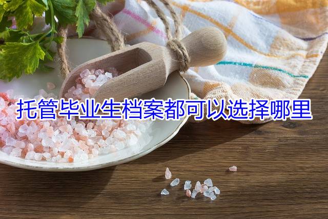 托管毕业生档案都可以选择哪里